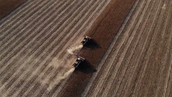 Aerial View of Several Harvesters on a Field of Sunflowers. Harvesting Sunflower Seeds for Sunflower alt