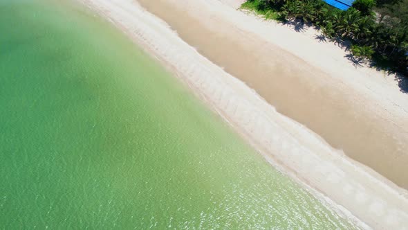 Drone flying over the coconut palms with the beach and the sea alt
