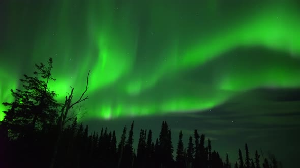 Aurora Borealis Lights Northern Alberta, Resembling To Alaska Lights alt