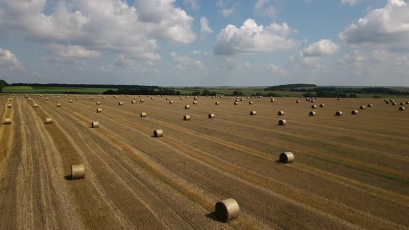 Rolled Haystacks on the Beautiful Yellow Field on the Sunset