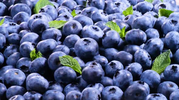 Blueberry Various Colorful Berries Closeup Juicy Ripe Summer Berry alt
