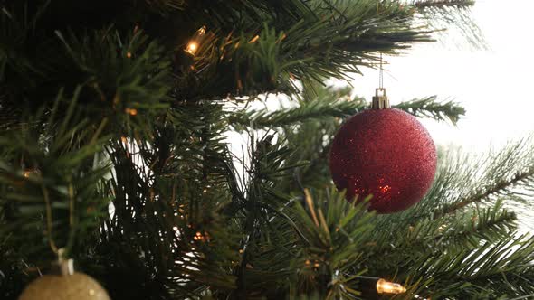 Close-up of decorative  bauble on the branch  4K 2160p 30fps UltraHD footage - Shiny red ornament ha alt