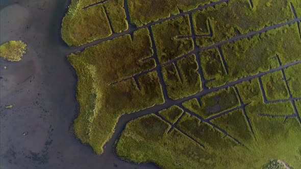 Aerial Top View of the Wetlands in Westhampton New York alt