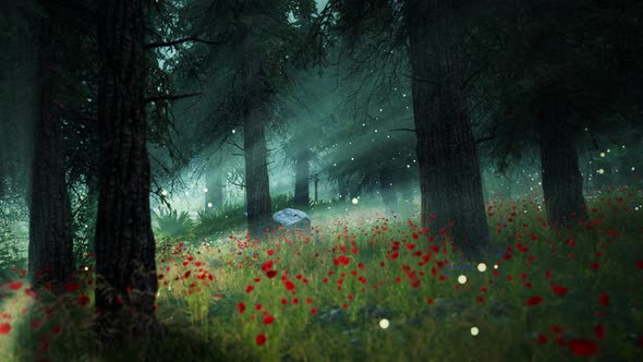 stylized flower field in forest HD