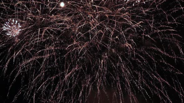 View of spectacular fireworks in dark sky