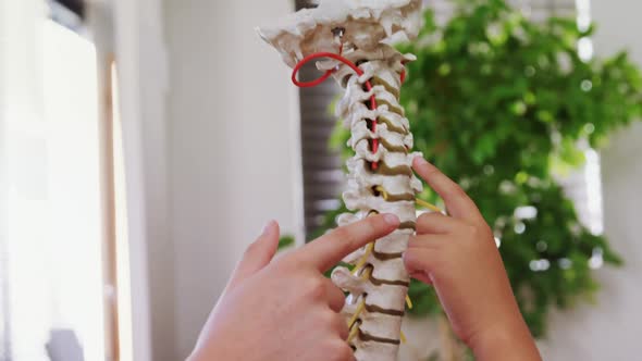 Female physiotherapist explaining spine model to boy patient 4k alt