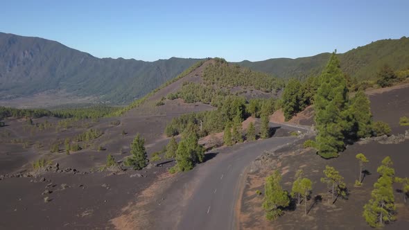 Volcanic Landscape and Pine Forest