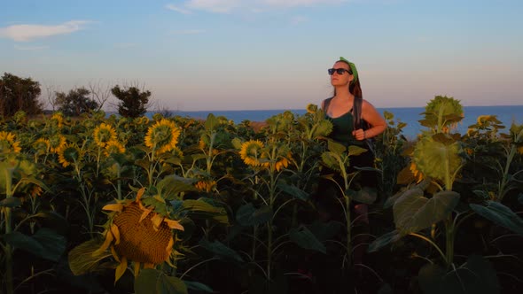 Adorable young girl in sunglasses in yellow sunflowers crops field on sunset sea shore