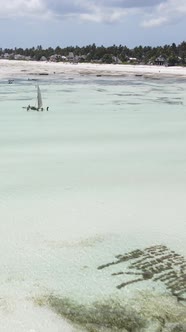 Vertical Video of Low Tide in the Ocean Near the Coast of Zanzibar Tanzania alt