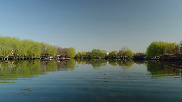 Nature Flying Over Lake alt