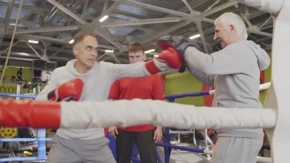 Sparring Partners Exercising inside Boxing Ring alt