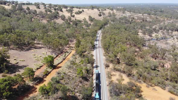 Aerial View of a Forest Train