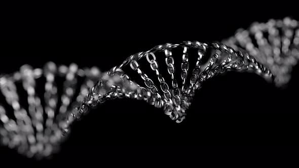 DNA Metal Chain Loop