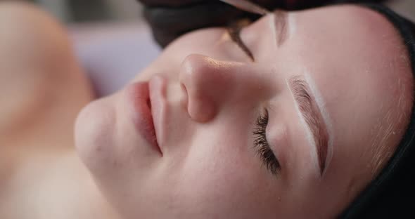 A Beautician Does Henna Eyebrow Tinting for the Young Woman Cosmetological Procedures and Beautycare