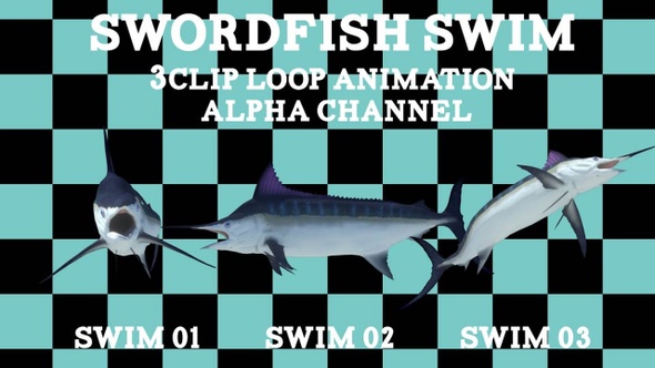 Sword Fish 3 Clip Loop
