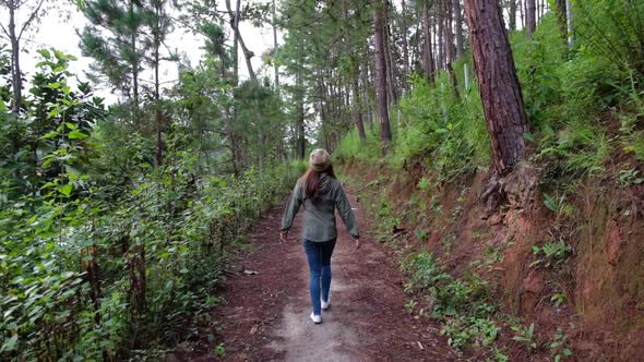 Slow motion of a woman walking into the woods