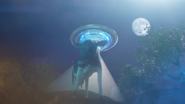 Cow abducted by a UFO on the farm pulling of the alien spacecraft render 3d