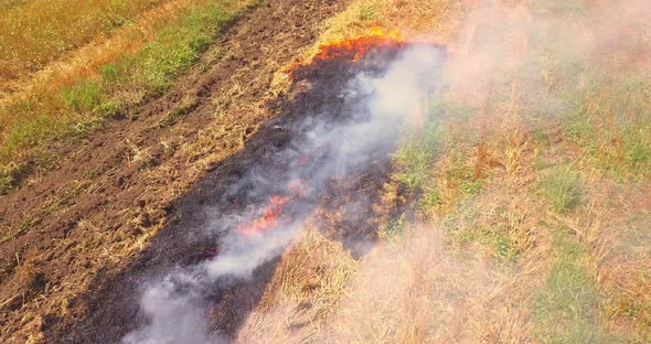 Drone View on the Wild Fire Burning Dry Grass in Field