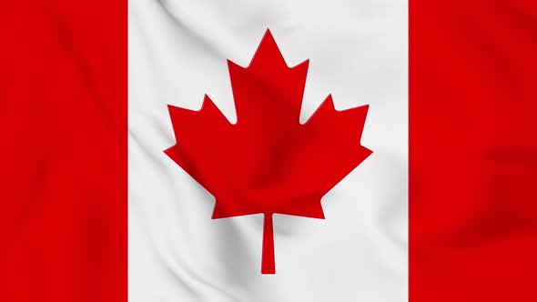 Canada  flag seamless closeup waving animation. Vd 2058