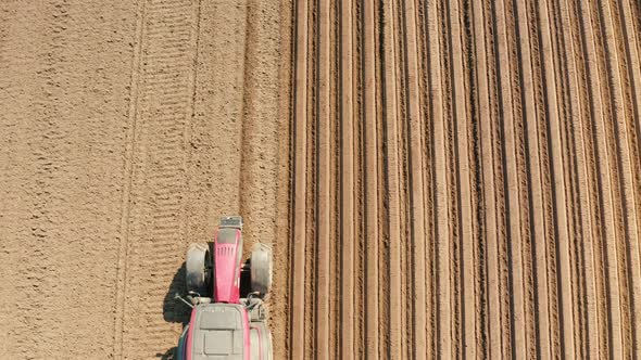 Tractor with Disc Harrows on the Farmland alt
