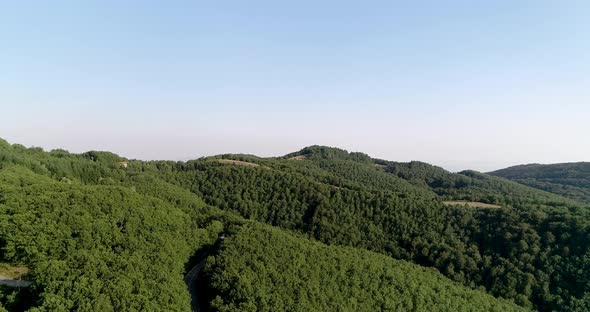 Aerial drone view of big green dense forest in countryside  alt