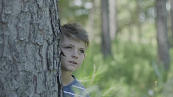 Boy behind tree trunk, looking up in awe alt