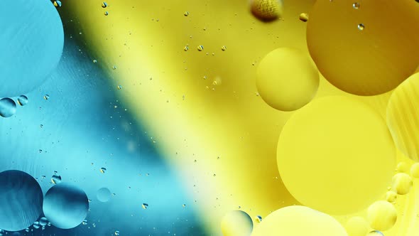 Real close up oil bubbles in water rotation with color gradient abstract mixing background. alt