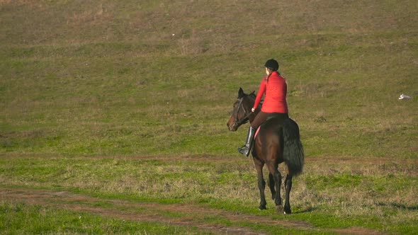 Rider Galloping on a Green Field on Horseback alt