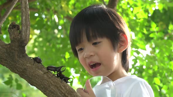 Cute Asian child looking through a magnifying glass at a rhinoceros beetle in the forest alt