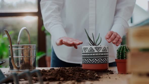 Close Up Shot of Woman Planting a Cactus in a Pot on the Terrace