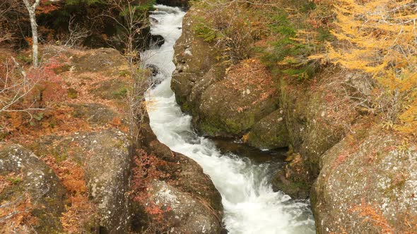 River Streams