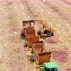 Sugar cane harvesting machinery at work in fields. Aerial view