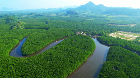 Top view of winding river in tropical mangrove green tree forest in khao jom pa alt