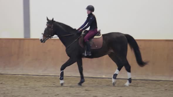 Girl riding her horse on hippodrome