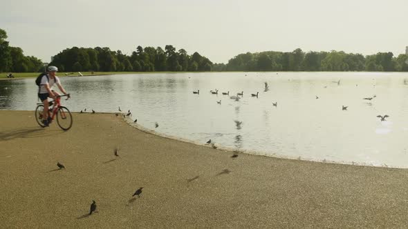 Guy cycling on a racing bike past a pond with a variety of birds, sunny day alt