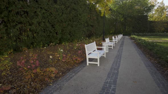 White benches on the alley in the park in autumn