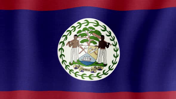 The National Flag of Belize