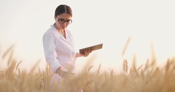 Young Woman Agronomist with Tablet Checking Wheat Health in Field alt