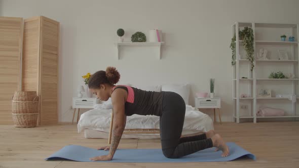 Graceful Fitness Woman Doing Cat Cow Pose Indoors alt