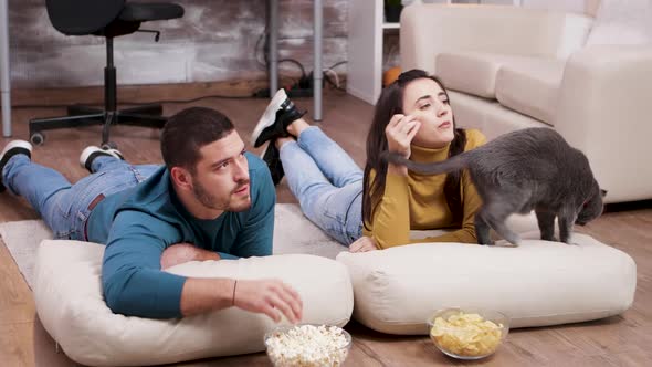 Young Couple Spending Time with Their Cat alt