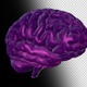 Computer Model of the Human Brain  - VideoHive Item for Sale