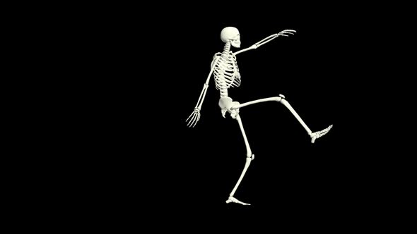 Skeleton Hip Hop Dancing