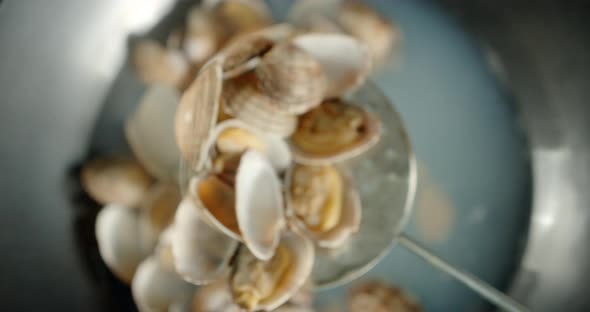 Boiled Vongole Mussels Are Extracted From Boiling Water.  alt