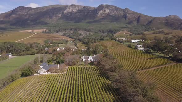 Aerial over wine farm in Cape Town