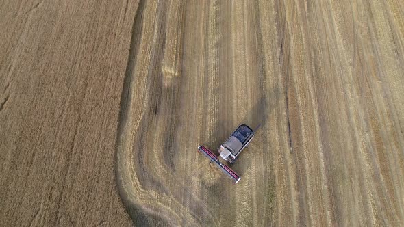 Agriculture Top View alt