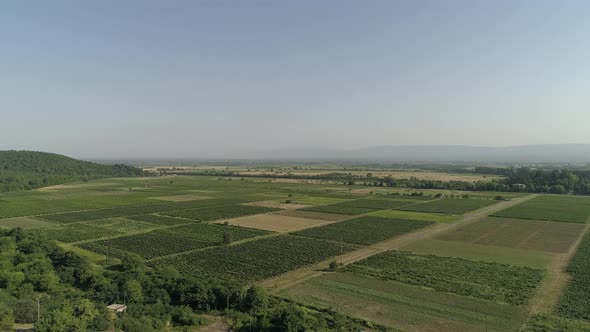 Agricultural Areas alt