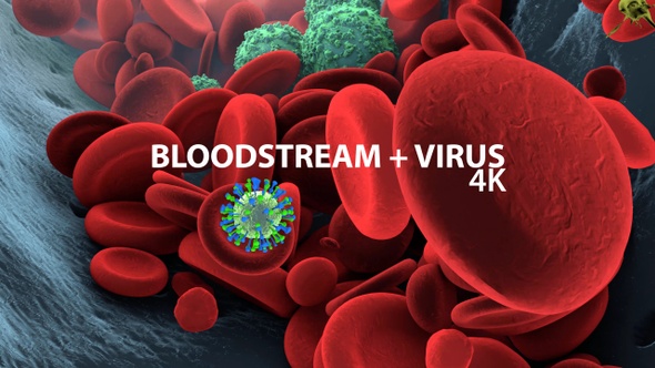 Bloodstream With CoronaVirus 4K