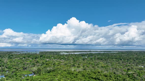 Stunning landscape of Amazon Forest at Amazonas State Brazil. alt
