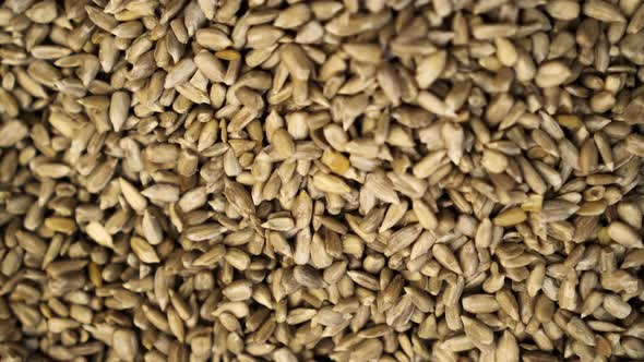 A Lot of Sunflower Seeds Close Up Rotates Against the Background in a  Store. alt