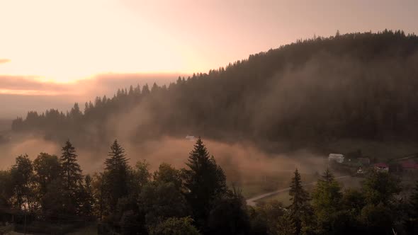 Early Morning Fog Over Summer Slopes of Carpathian Mountains alt